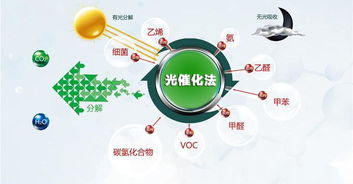 新房去甲醛最快的方法 让你和甲醛说拜拜 百科 双文环保科技