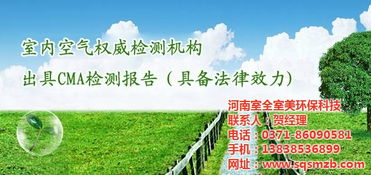河南室全室美环保科技 图 车内甲醛检测中心 郑州中心高清图片 高清大图